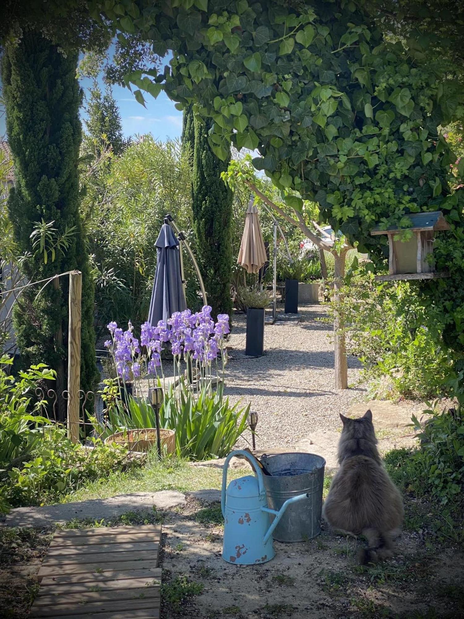 オービニャン Le Jardin De Lauヴィラ エクステリア 写真